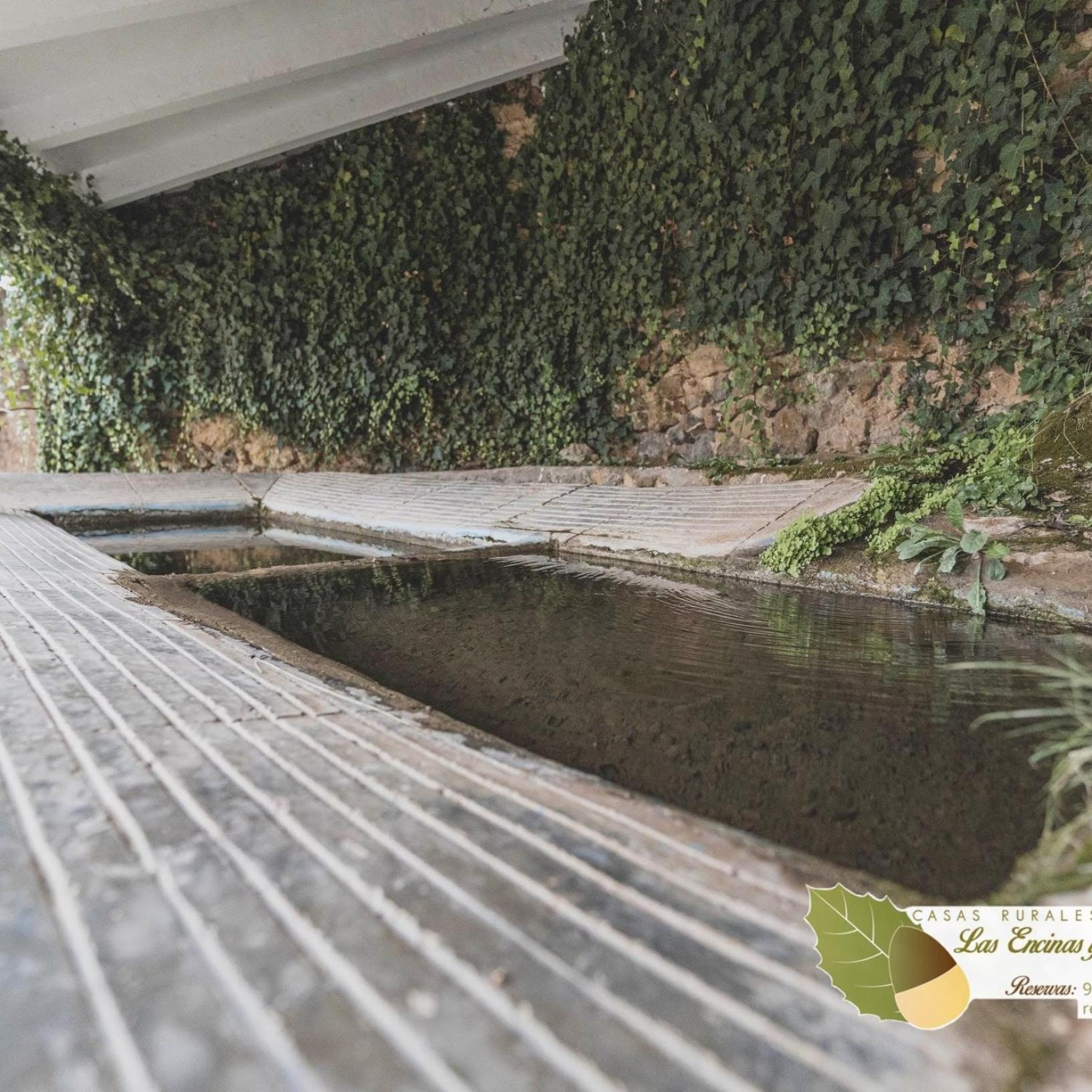 Las Encinas Yeste Exterior photo